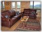Living Room with gas log fireplace and breathtaking views!