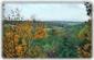 Fall Foliage View from the Deck
