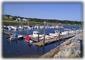 Wellfleet Harbor/ Town Pier