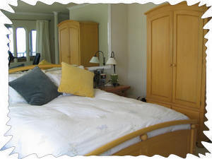 Guest bedroom (Queen Size Bed)
