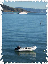 Our deck hangs over the water at High Tide