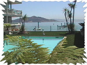 Pool on the San Francisco Bay