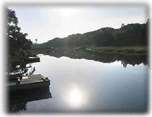 View of Creek from Patio in Morning