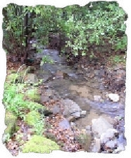 Flowing creek just outside your bedroom window