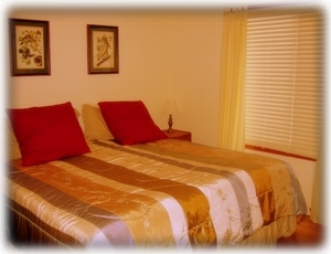 Master with new pillow top king bed