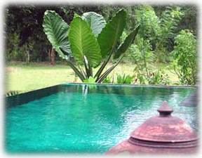 Private Swimming Pool, Gecko Villa, Thailand