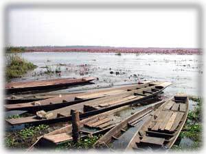 Traditional Thai boats near your holiday house