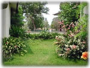 Garden at gecko Villa, NE Thailand