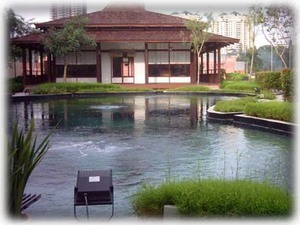 The on-site Japanese teahouse & Koi pond.