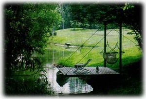  A quiet place by the lake. Rest & Relaxation.