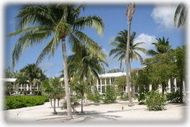 Back yard of the Island Houses of Cayman Kai