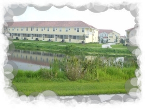 Backyard pond view