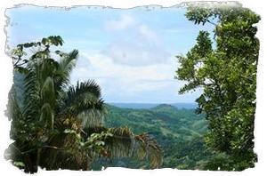 View of Ocean Valley and River