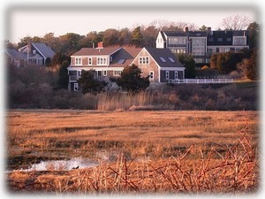 Golden Autumn-Back View From Conservation Area