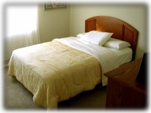 Guest Bedroom with Walk In Closet