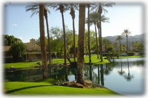 Central pond and pool area