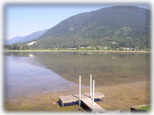 walk out to the dock