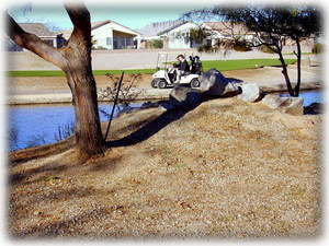View from back yard.