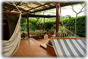 Pergola is just outside the kitchen, at the left laundry room