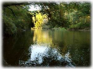 Walk to the New River just below the cabin