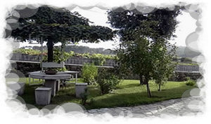 Stone table, lawned garden, trees and fruit trees