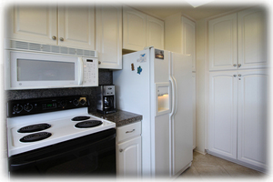 Spacious gourmet kitchen - equipped with all necessary items to cook