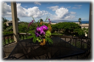 Beautiful private lanai
