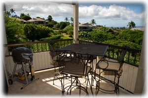 New private BBQ on your lanai