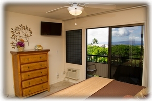Beautiful tropical Master bedroom with flat panel HD cable TV - Ekolu 607