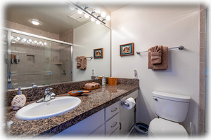 Second private full bathroom with walk-in shower for your guest - Ekolu 607
