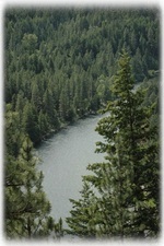 Nature is all around you