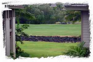 The backyard...