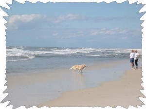 Everyone loves the beach!