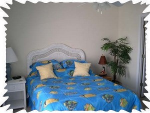Second Bedroom with Queen size bed