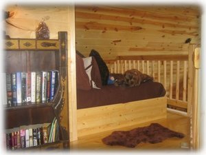 Bear's Den loft perfect for kids features a full size platform bed