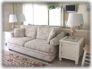 Living Room with the New Sofa with air matress