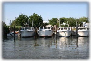 Boats docked at Knapps Narrows - 5 minute walk