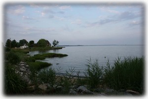 Gorgeous view of Choptank River - 5 minute walk