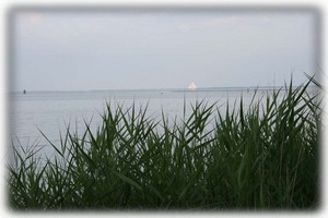 Sailboat on the Choptank - 5 minute walk