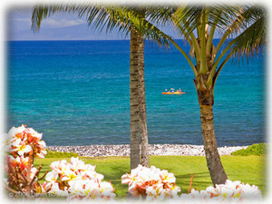 Gorgeous Wailea Beach with White Sand Beaches & Water SPorts