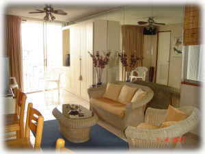 Living Area showing terrace & closed full Murphy bed unit