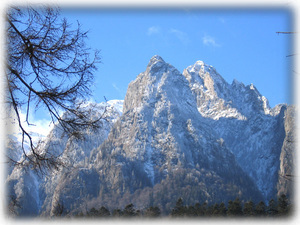 View from the villa