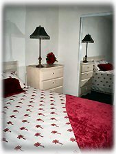 Master bedroom/honeymoon suite