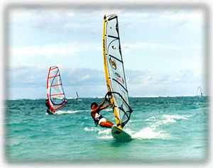 Windsurfer's Paradise Outside Your Door