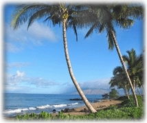 Views of West Maui