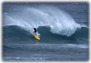 Surf's Up!