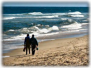 Surf Casters