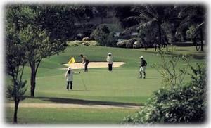 16 golf courses