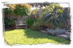 Tropical backyard