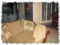 Golf Course View Family Room at PVCC